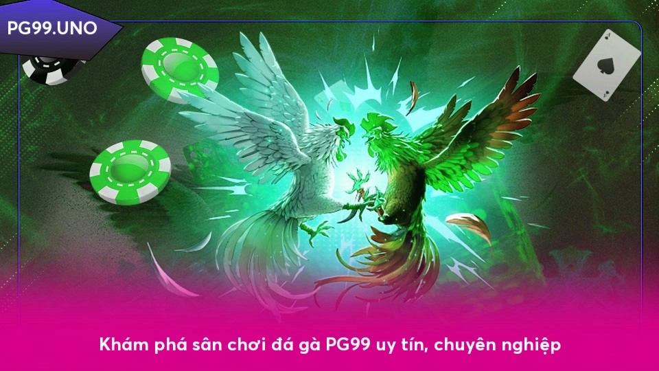Khám phá sân chơi đá gà x5betvip uy tín, chuyên nghiệp