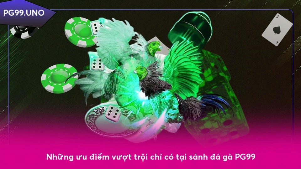 Những ưu điểm vượt trội chỉ có tại sảnh đá gà x5betvip